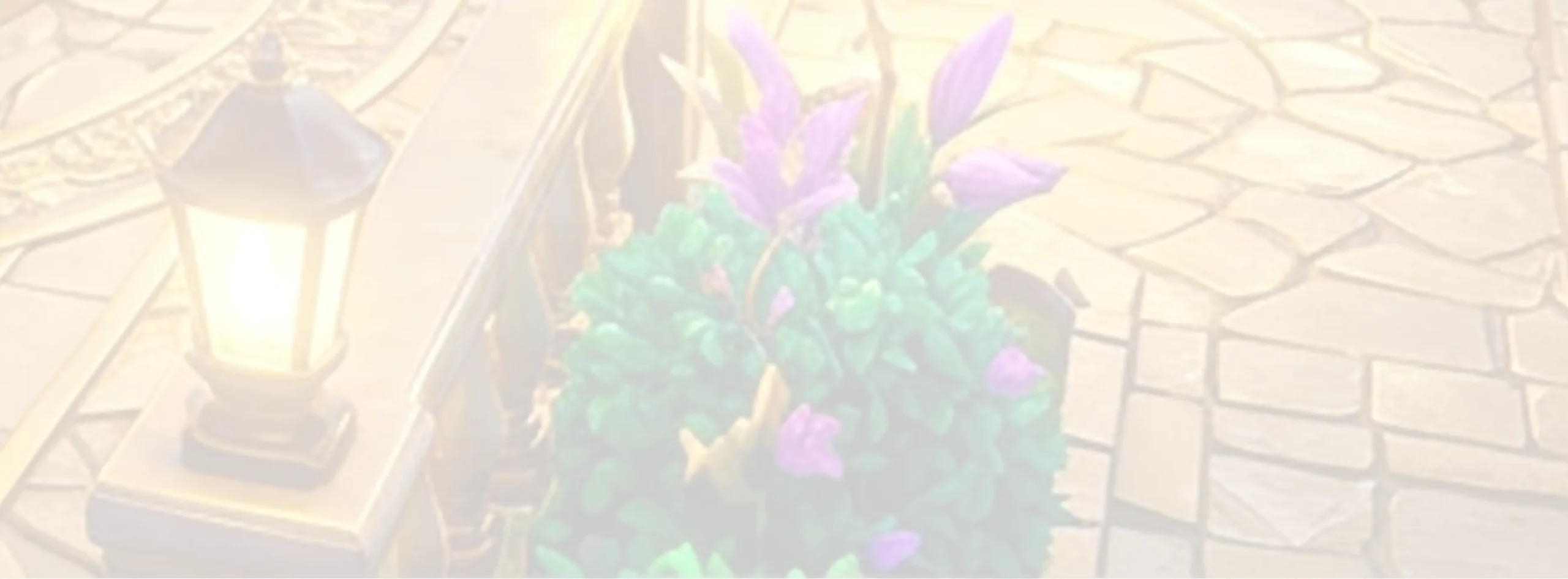Bg3
